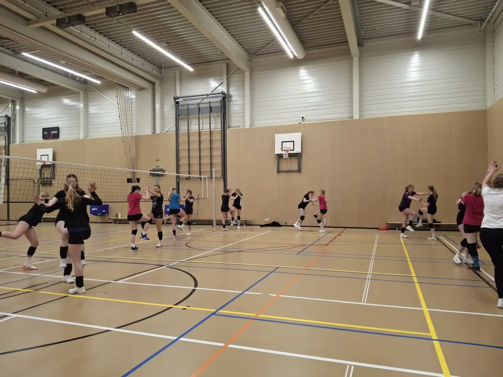 volleybal_zwolle_1000051567.webp