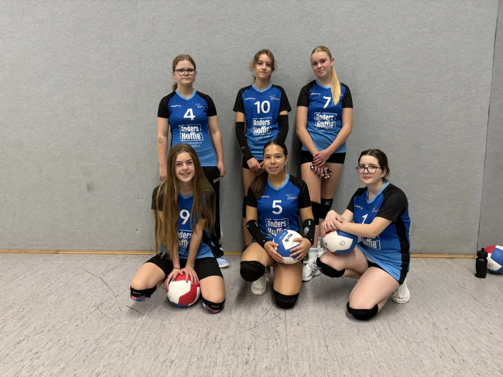 volleybal zwolle c5